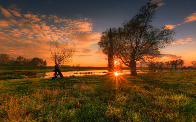 Sunset bench field tree magic free wallpaper for desktop - medium preview image