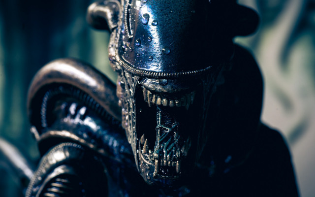 Eddie mendoza alien tentacles black free wallpaper for desktop - medium preview image