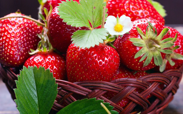 Strawberry basket flower leaf impressionism free wallpaper for desktop - medium preview image