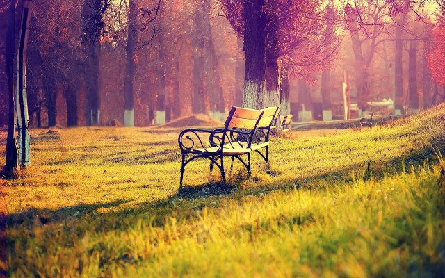 Park bench grass trees cemetery free wallpaper for desktop - medium preview image