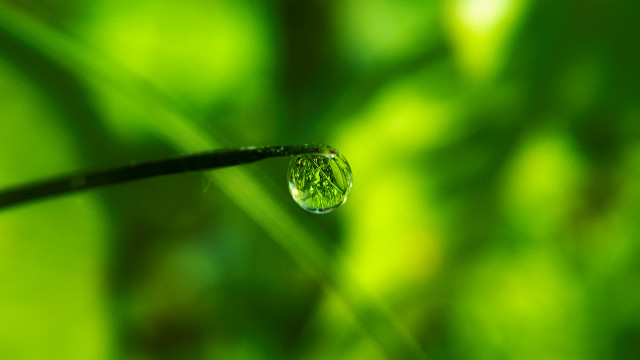 Water drop green leaf bokeh free wallpaper for desktop - medium preview image