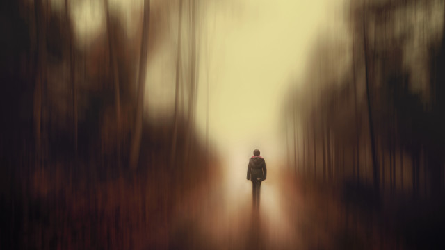 Forest path foggy horizon digital free wallpaper for desktop - medium preview image