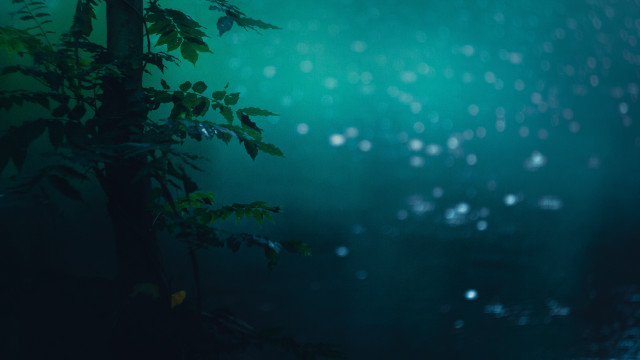 Rainy night tree leaves fireflies free wallpaper for desktop - medium preview image