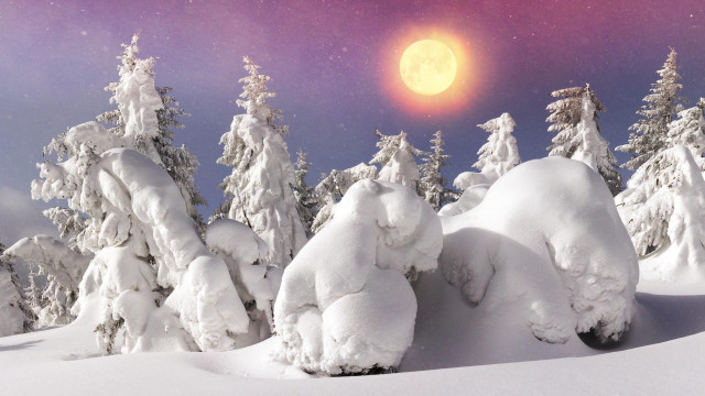 Full moon snowy forest purple free wallpaper for desktop - medium preview image