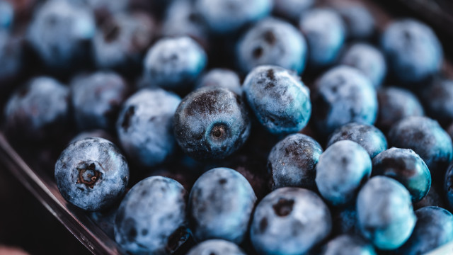 Blueberries closeup bokeh depthofield planet free wallpaper for desktop - medium preview image
