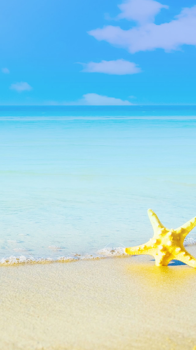 Starfish beach blue sky water free wallpaper for mobile - medium preview image
