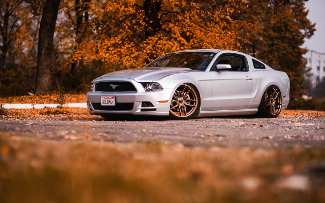 White mustang autumn leaves 3d free wallpaper for desktop - medium preview image