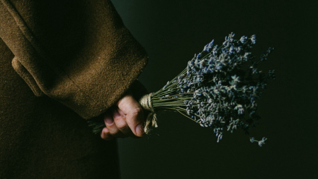 Person holding flowers dark background free wallpaper for desktop - medium preview image