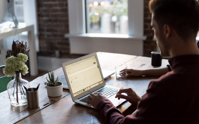 Man laptop table plant cactus free wallpaper for desktop - medium preview image