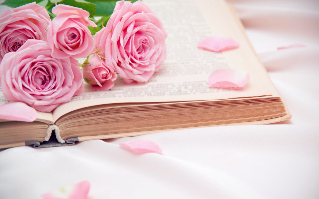 Pink roses bed petals flower free wallpaper for desktop - medium preview image