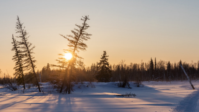 Sunset snowy field trees path free wallpaper for desktop - medium preview image