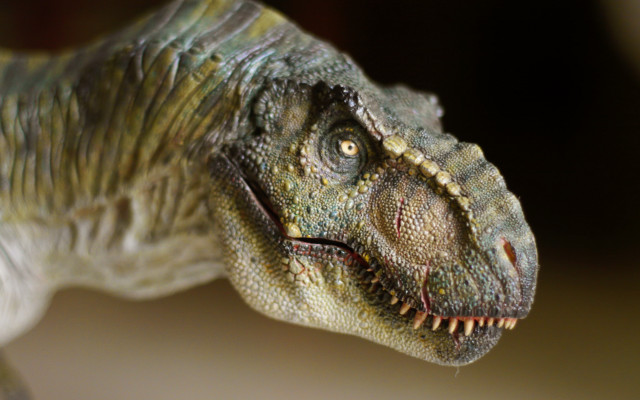 Dinosaur head closeup blurry background free wallpaper for desktop - medium preview image