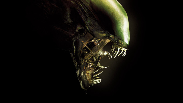 Alien green closeup black background free wallpaper for desktop - medium preview image