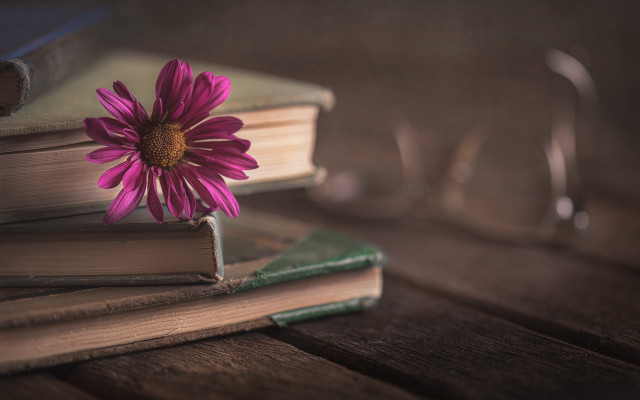 Pink flower stack books table free wallpaper for desktop - medium preview image