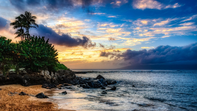 Beach palm sunset clouds water free wallpaper for desktop - medium preview image