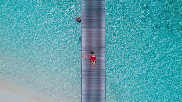 Woman red top boardwalk dog free wallpaper for desktop - medium preview image
