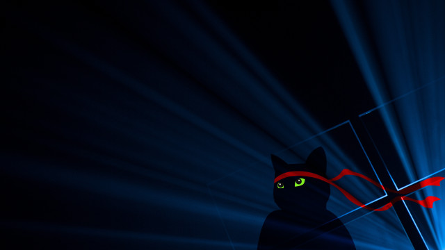 Black cat red arrow blue free wallpaper for desktop - medium preview image