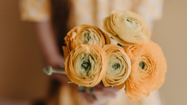 Person bouquet flowers blurry background free wallpaper for desktop - medium preview image