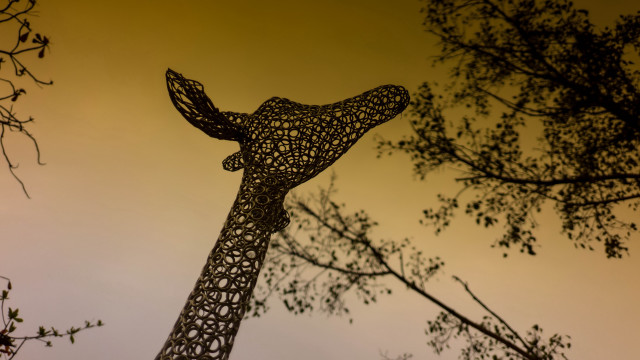 Giraffe sculpture autumn leaves sunset free wallpaper for desktop - medium preview image