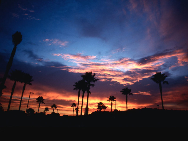 Sunset palm trees blue sky free wallpaper for desktop - medium preview image