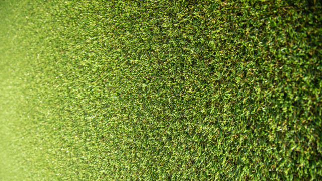 Green wall red fire hydrant free wallpaper for desktop - medium preview image