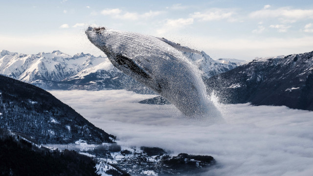 Humpback whale mountains snow clouds free wallpaper for desktop - medium preview image