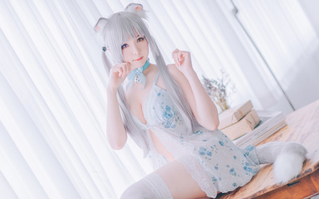 White dress cat ears cosplay free wallpaper for desktop - medium preview image