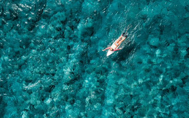 Ocean surfboard minimalism microscopic vibrant free wallpaper for desktop - medium preview image