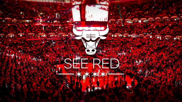 Bulls logo crowd stadium red free wallpaper for desktop - medium preview image