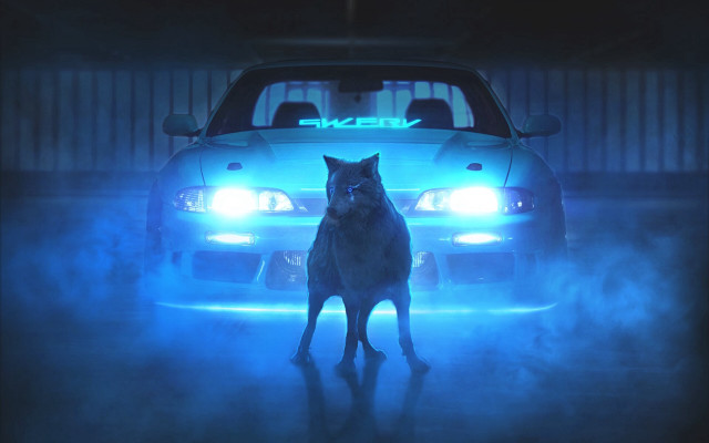 Dog car foggy night cyberpunk free wallpaper for desktop - medium preview image