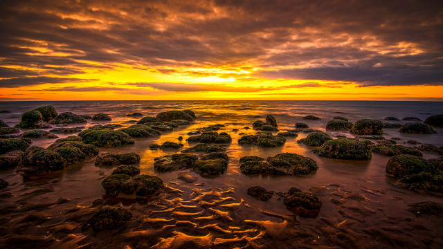 Sunset ocean rocks grass cloudy free wallpaper for desktop - medium preview image