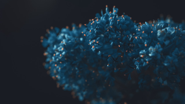 Blue flowers vase table top free wallpaper for desktop - medium preview image