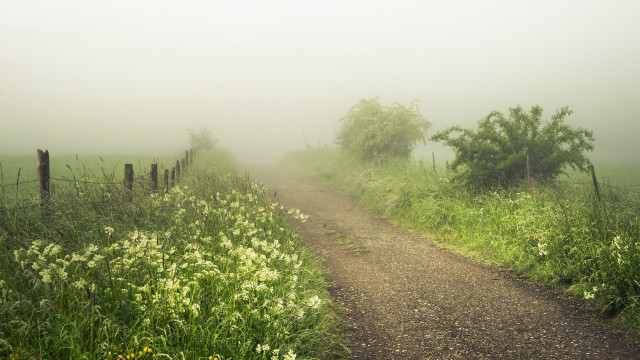 Dirt road fence flowers foggy free wallpaper for desktop - medium preview image