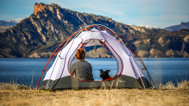Tent dog mountains lake outdoor free wallpaper for desktop - medium preview image