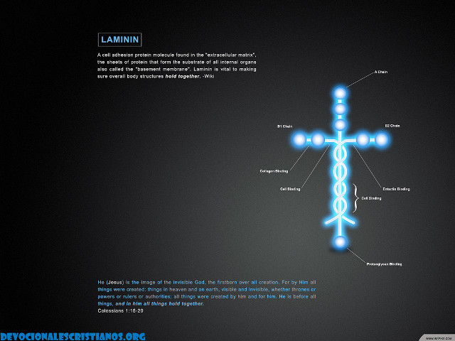Cross diagram blue light wireframe free wallpaper for desktop - medium preview image