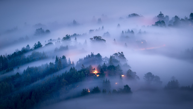 Foggy forest lake hut lighthouse free wallpaper for desktop - medium preview image