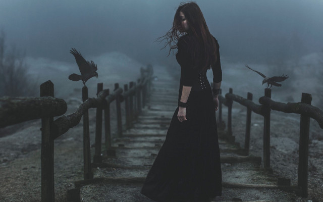 Woman black dress bridge birds free wallpaper for desktop - medium preview image
