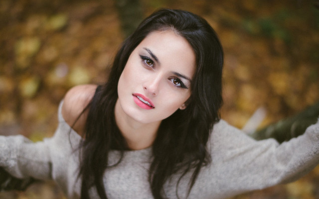 Long hair sweater leafy portrait free wallpaper for desktop - medium preview image