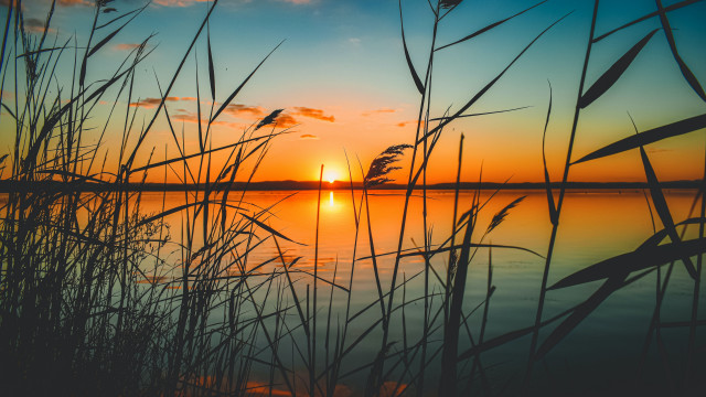 Sunset lake tallgrass orange sky free wallpaper for desktop - medium preview image