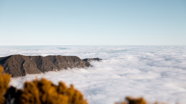 Mountain clouds trees fog sky free wallpaper for desktop - medium preview image