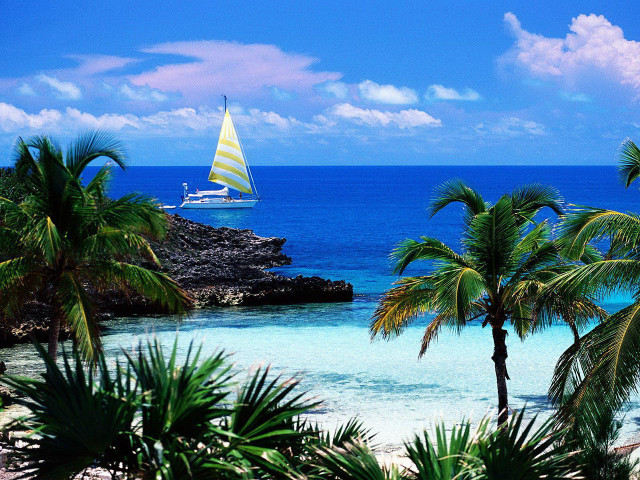 Sailboat ocean palm trees rocky #2 free wallpaper for desktop - medium preview image