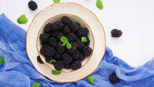 Blackberries mint blue cloth white free wallpaper for desktop - medium preview image