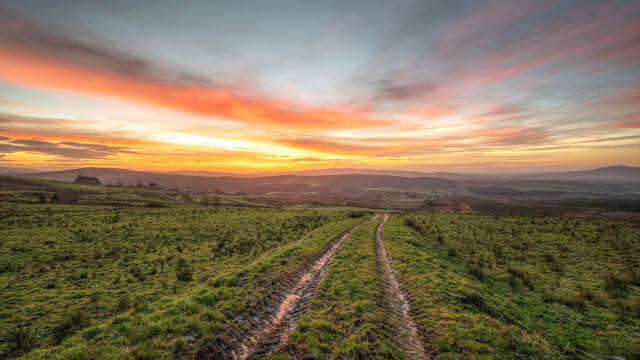 Sunset grassy field dirt road free wallpaper for desktop - medium preview image