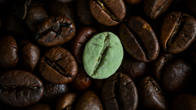 Green cookie coffee beans bug free wallpaper for desktop - medium preview image