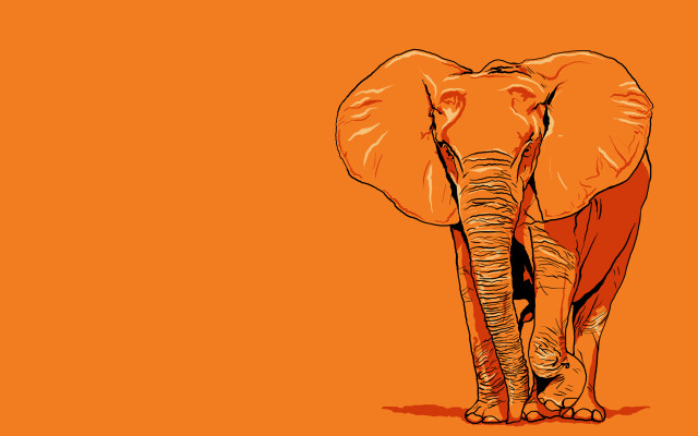 Elephant orange background black spot free wallpaper for desktop - medium preview image
