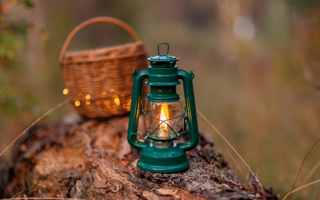 Green lantern tree stump basket free wallpaper for desktop - medium preview image