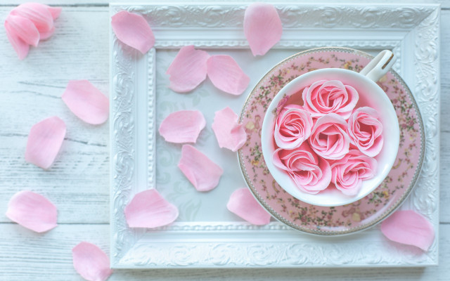 Pink rose petals still life free wallpaper for desktop - medium preview image