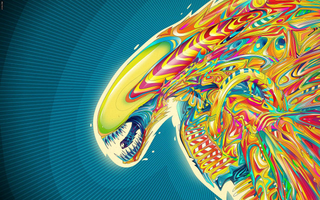 Colorful bird large beak psychedelic free wallpaper for desktop - medium preview image