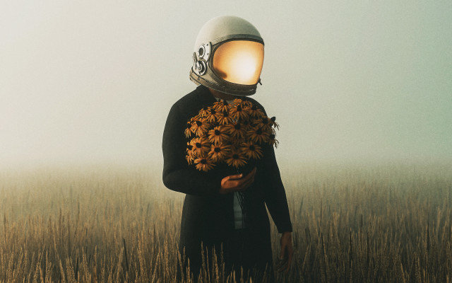 Helmet flowers tallgrass surreal space free wallpaper for desktop - medium preview image