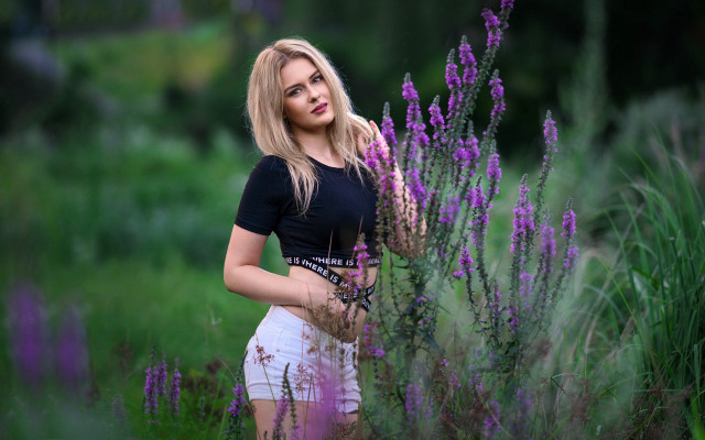 Elina karimova purple flower field free wallpaper for desktop - medium preview image